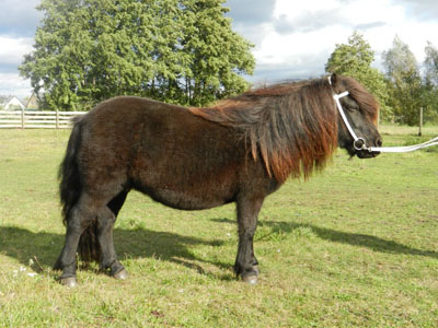 Xantia v. Stal't Bogerdje